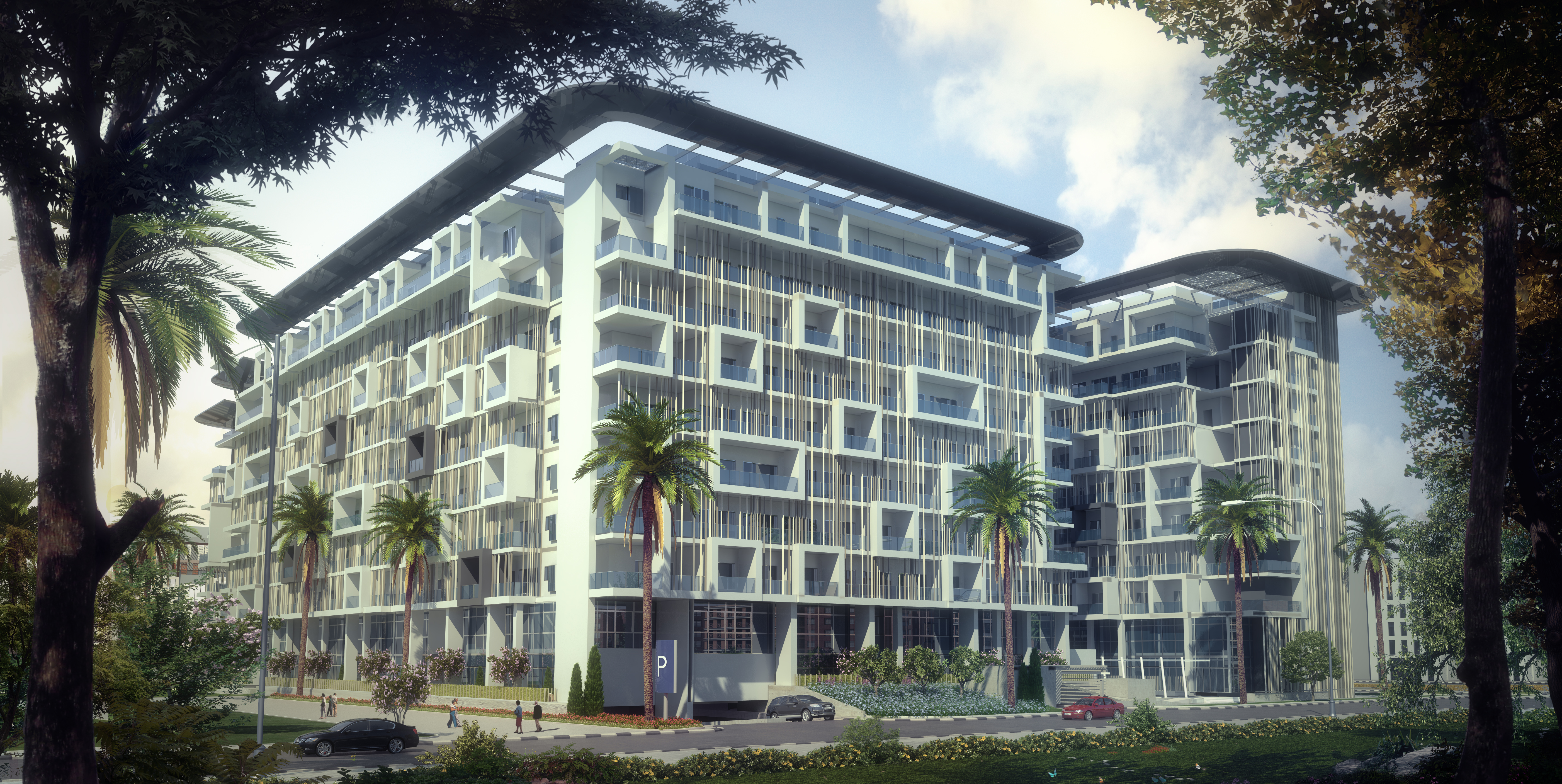 Oasis 1